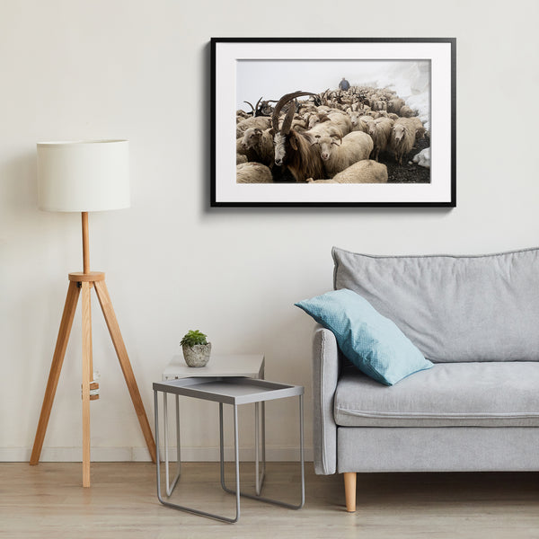 At the head of the herd