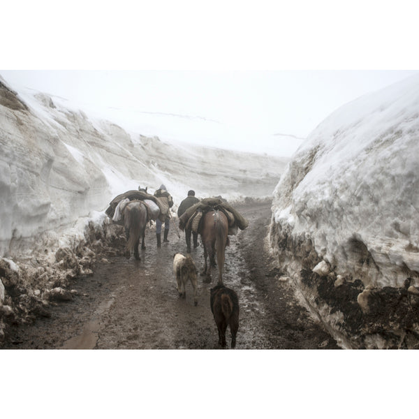 The pass