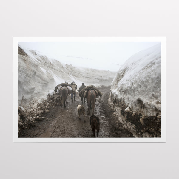 The pass