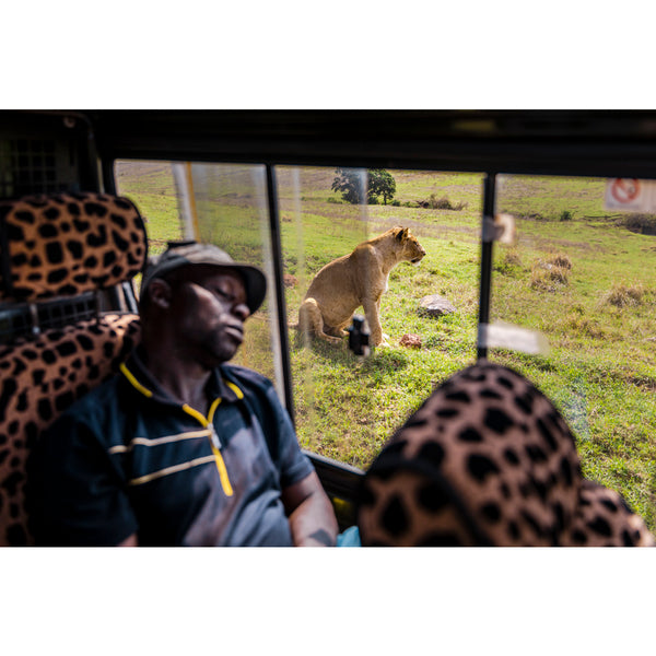 Serengeti guide.