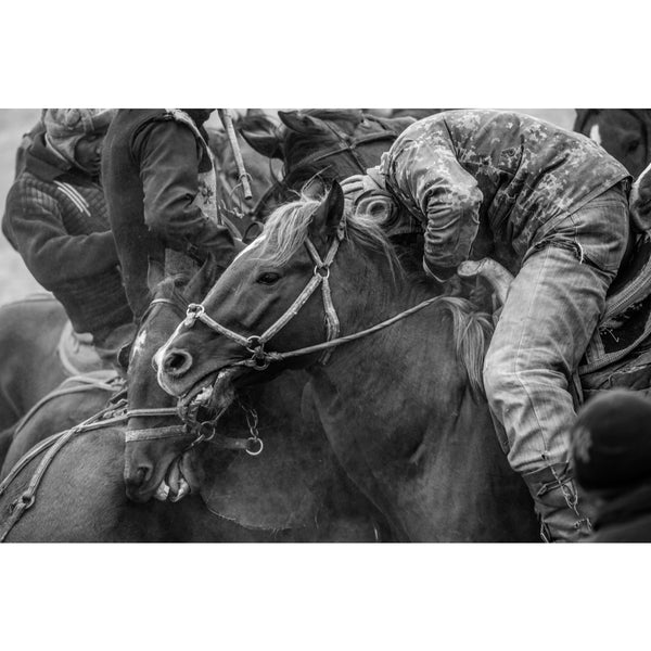 Embrace of the Equestrians