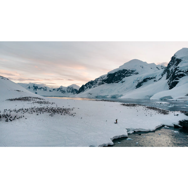 Shore of Cuverville Island.
