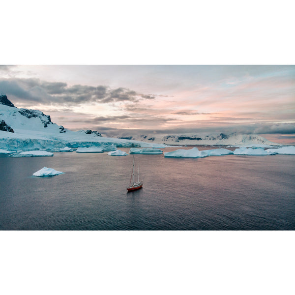 Shore of Cuverville Island.