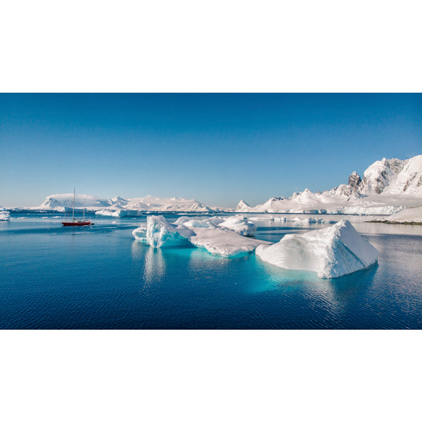 Shore of Cuverville Island.
