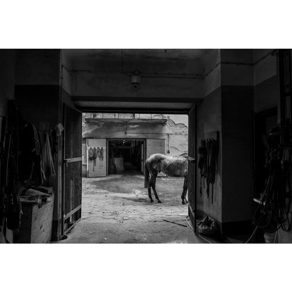 Stable Solitude