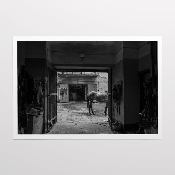 Stable Solitude