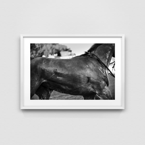 After the Gallop