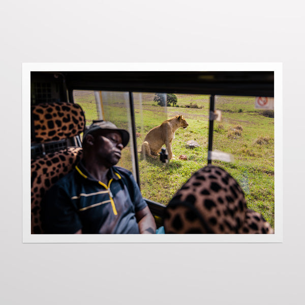 Serengeti guide.