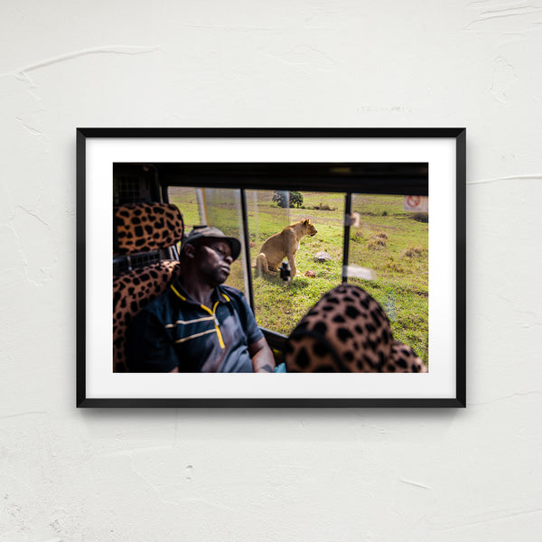 Serengeti guide.