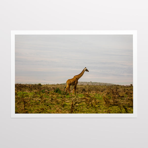 Serengeti National Park.
