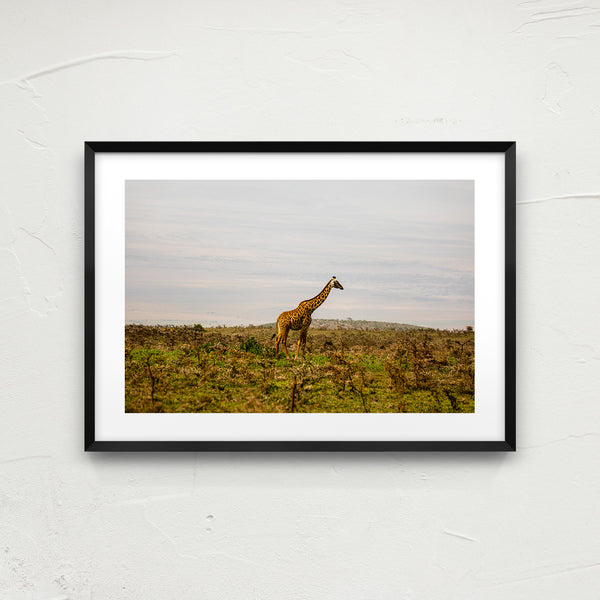 Serengeti National Park.