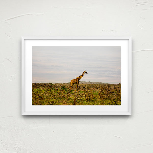Serengeti National Park.