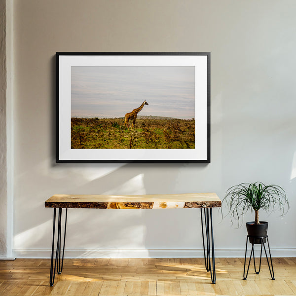 Serengeti National Park.