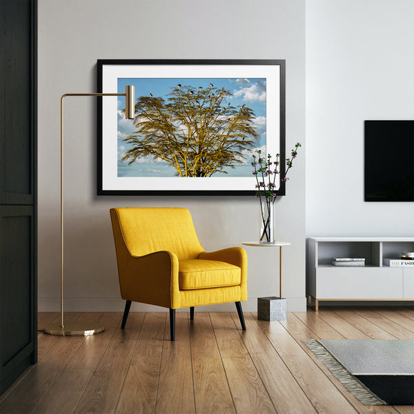 Marabou tree.