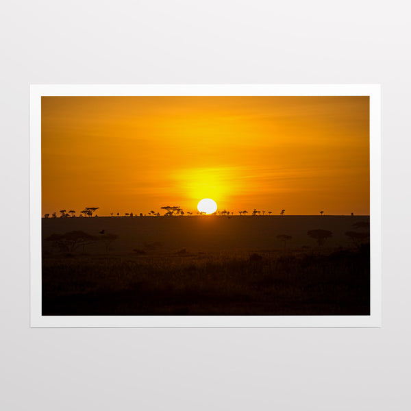 Serengeti horizon.