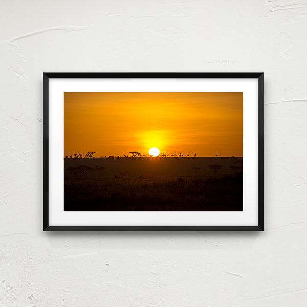 Serengeti horizon.