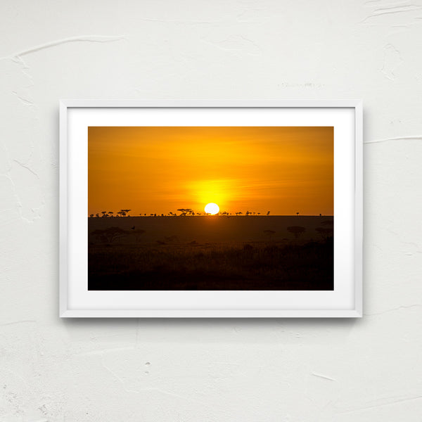 Serengeti horizon.