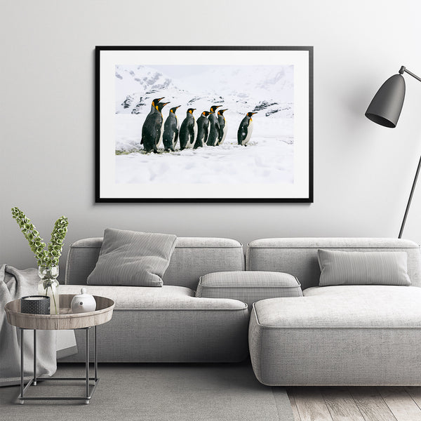 King penguins.