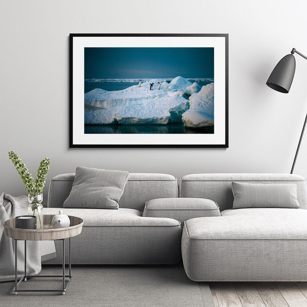 Adelie penguins.