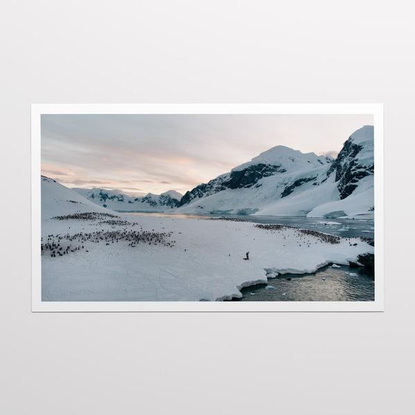 Shore of Cuverville Island.