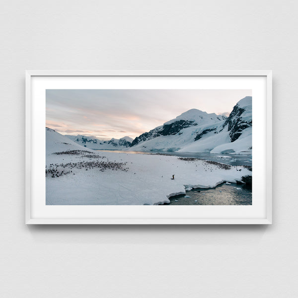 Shore of Cuverville Island.