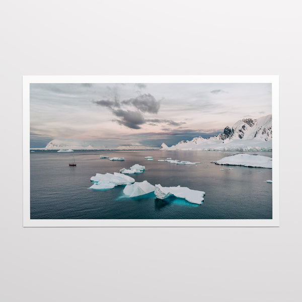Shore of Cuverville Island.