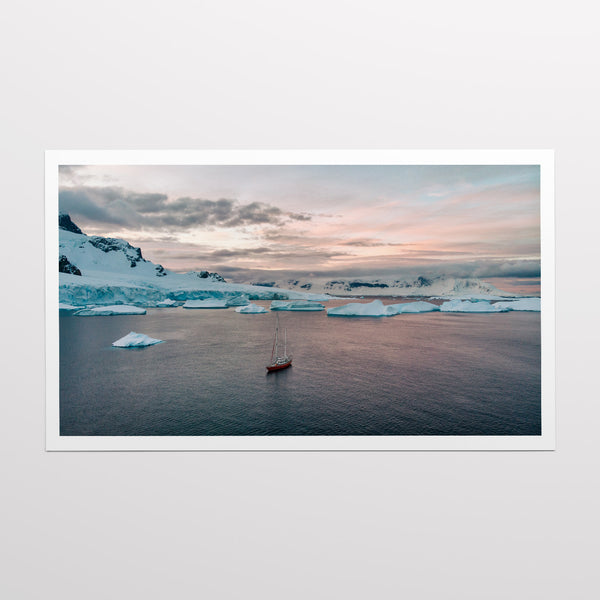 Shore of Cuverville Island.